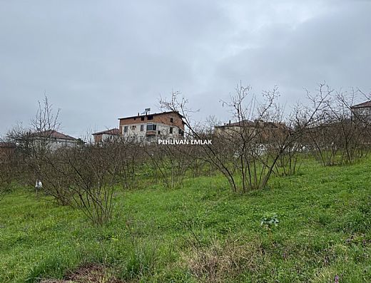 Hayalinizdeki Eve Bizimle Ulan